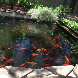 Meet your Posher, 🌺 Florez